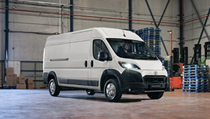 NOWY PROACE Max